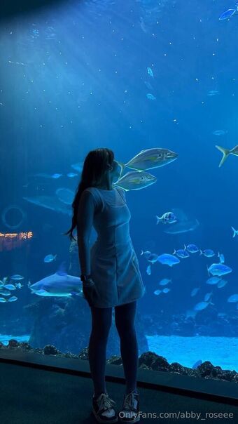 abby_roseee