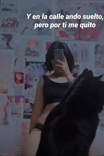 bannyrabbit11