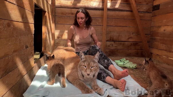 Bobcat Голи Изтичания OnlyFans Снимки 3