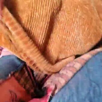 Cami Sweet Голи Изтичания OnlyFans Снимки 40