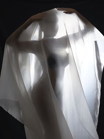 Fa.shadows