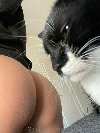 hollymoonvvip Голи Изтичания OnlyFans Снимки 3