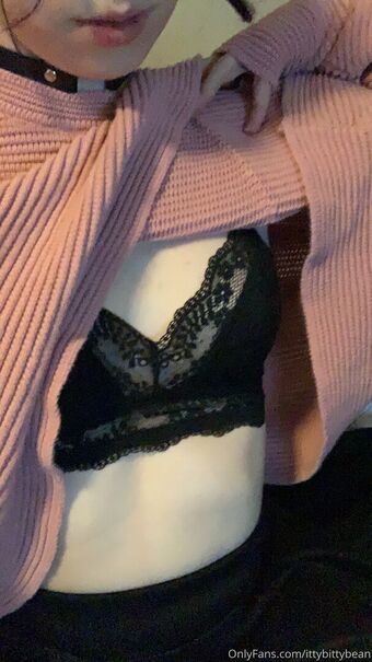 ittybittybean Голи Изтичания OnlyFans Снимки 8