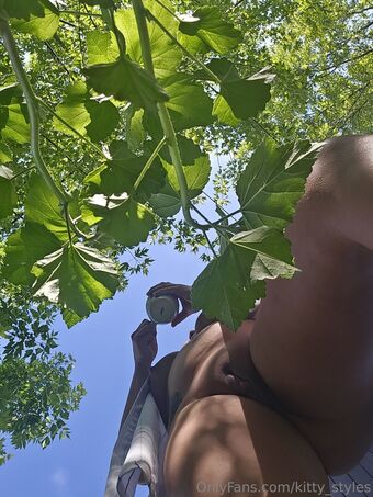 kitty_styles Голи Изтичания OnlyFans Снимки 20