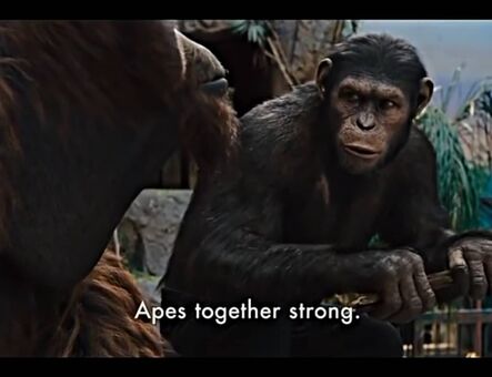 lilijunex Голи Изтичания OnlyFans Снимки 125