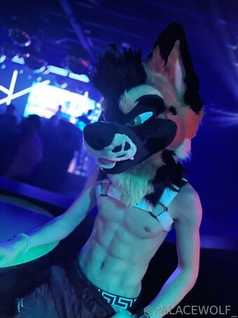 palacewolf