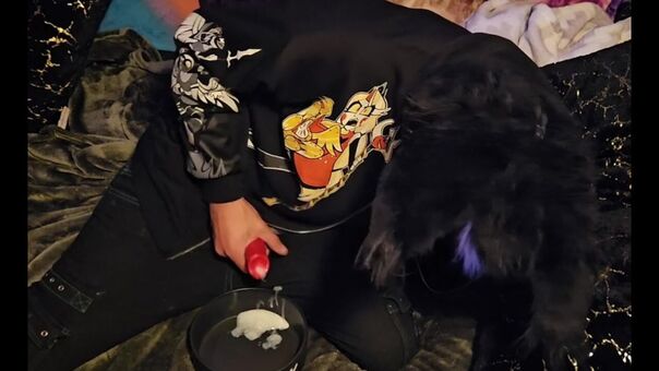 pawsheisty Голи Изтичания OnlyFans Снимки 7