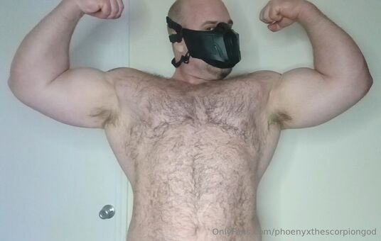 phoenyxthescorpiongod