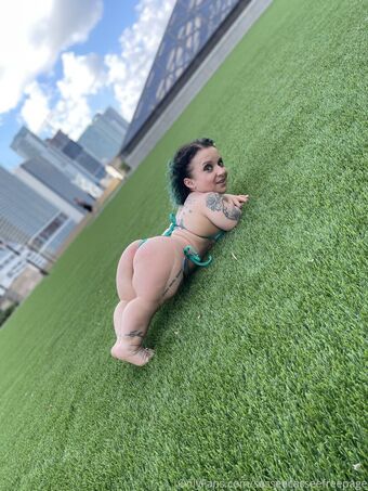 sasseecasseefreepage