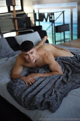 sean4mendes