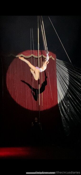 thecircusdiaries