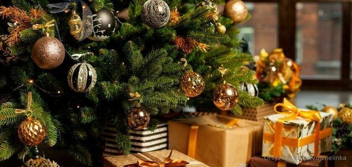 tvojenelinka Голи Изтичания OnlyFans Снимки 14