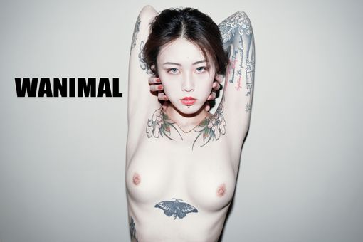 Wanimal Models