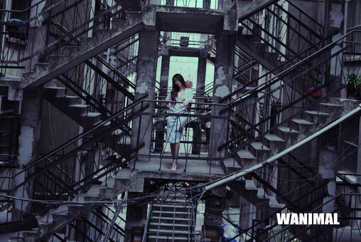 Wanimal Models Голи Изтичания OnlyFans Снимки 377
